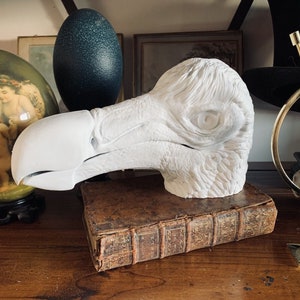 Könnte beinhalten: Eine weiße Keramikskulptur eines Dodokopfes, die auf einem antiken Buch mit braunem Lederbezug ruht. Die Skulptur ist detailliert mit realistischen Merkmalen, darunter ein großes Auge und ein strukturierter Schnabel.
