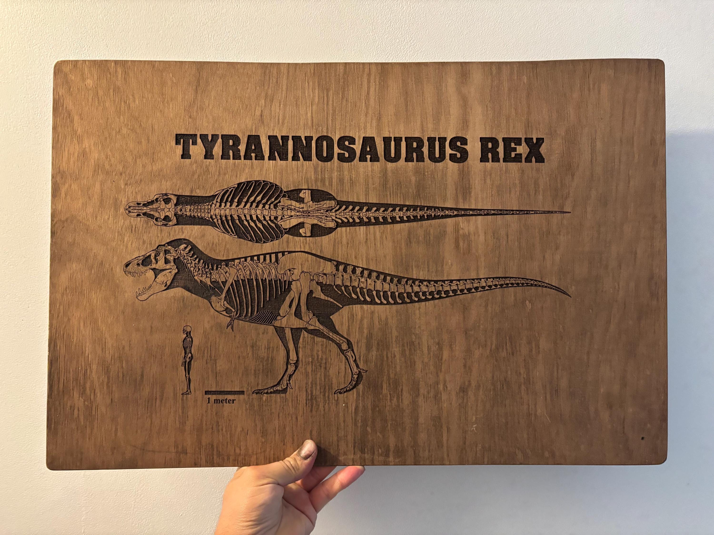 ティラノサウルス・レックスの解剖図 木版画 60 cm - Etsy 日本