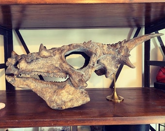 22" Dracorex hogwartsia dragon dinosaur skull from USA!!