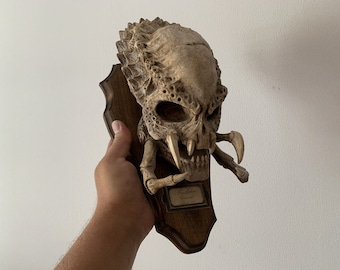 Predator Skull Trophy / Oddities / Cabinet of Curiosities