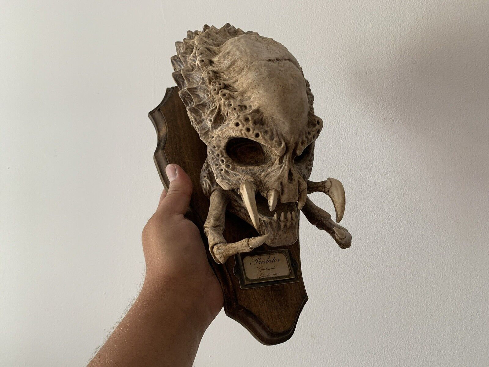 プレデターの頭蓋骨トロフィー / 珍品 / 珍品コレクション - Etsy 日本