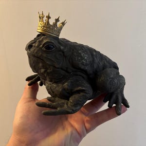 Może przedstawiać: Ciemnoszara figurka ropuchy w małej, złotej koronie. Ropucha trzymana jest w dłoni, ukazując jej fakturę skóry i szczegółowe cechy. Korona dodaje płazowi królewskiego charakteru.