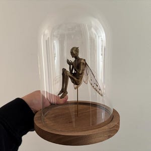 May include: A bronze-colored fairy sculpture with delicate wings, seated inside a glass cloche. The fairy is mounted on a wooden base. The cloche is clear, allowing a full view of the fairy. The sculpture is held by a person.