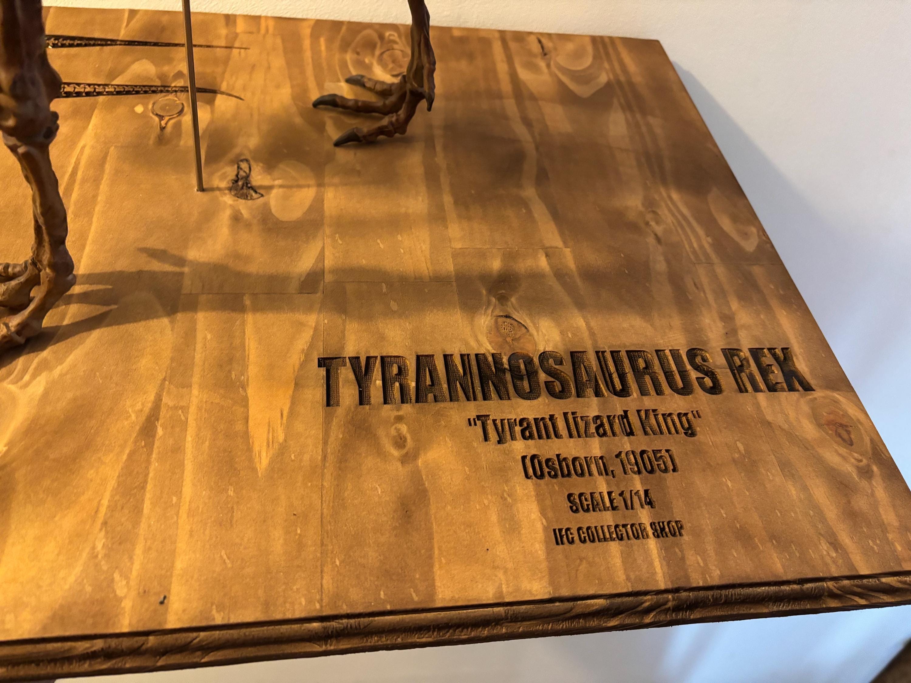 95cm Tyrannosaurus Rex Dinosaur Skeleton With Laser-engraved