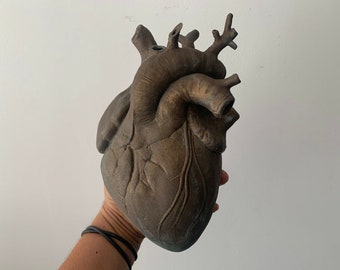 oddities cabinet of curiosities giant anatomical heart bronze effect