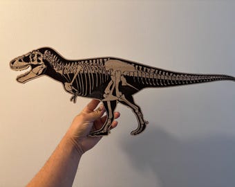 Tyrannosaurus rex anatomy wood engraving 60 cm