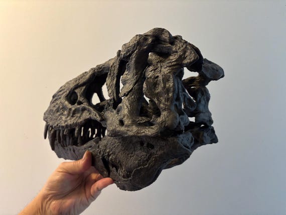 化石　レプリカ　恐竜　ティラノサウルス　T-REX 頭部　ラストワン　最後　値下 恐竜の頭蓋骨 ティラノサウルス T-rex トリスタン・オットー レプリカ
