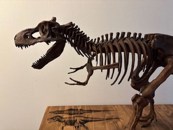 ティラノサウルス 骨格 壁掛け 恐竜 95cmのティラノサウルス・レックス恐竜の骨格とレーザー彫刻され