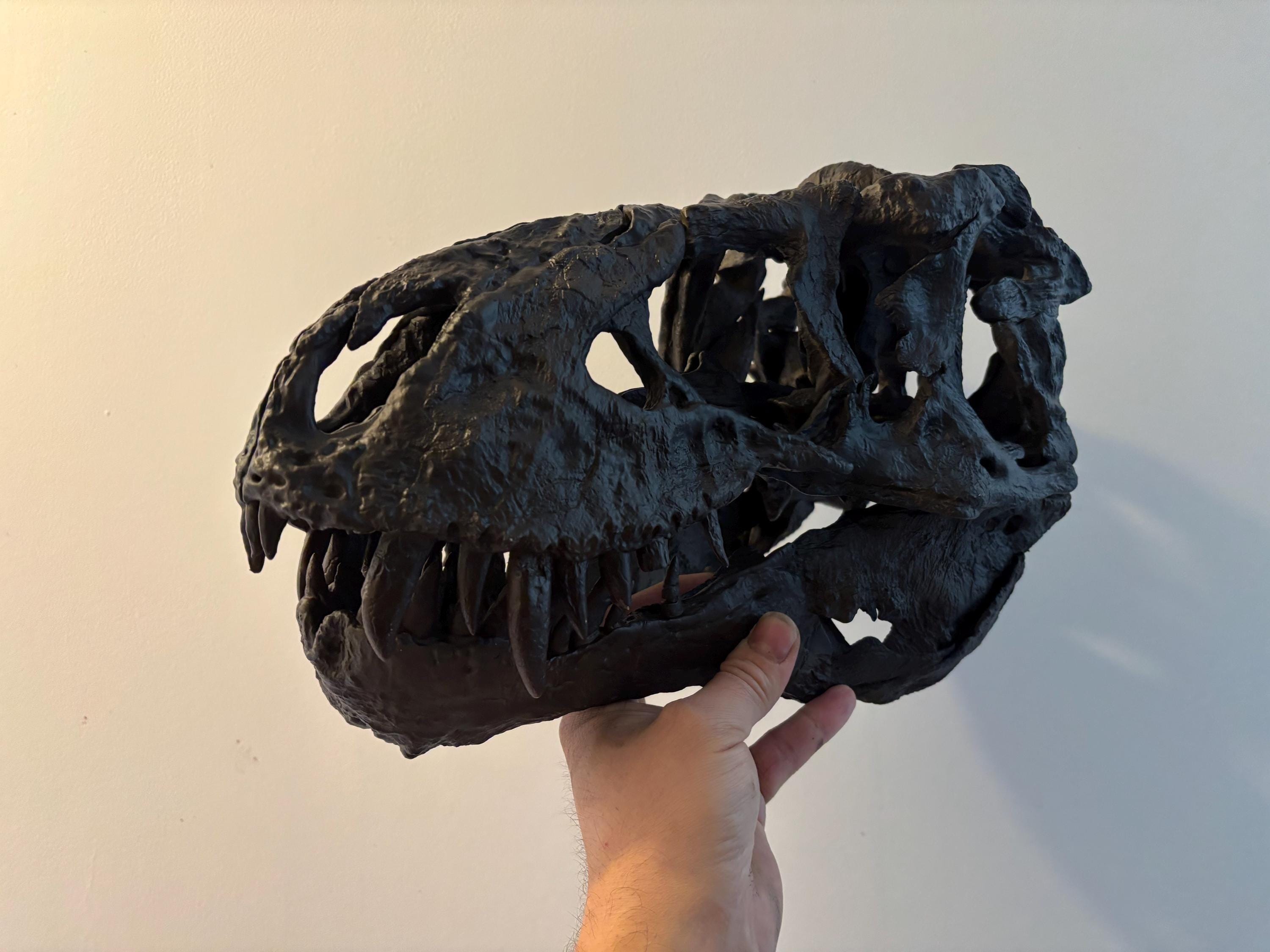 恐竜の頭蓋骨 ティラノサウルス T-rex トリスタン・オットー レプリカ