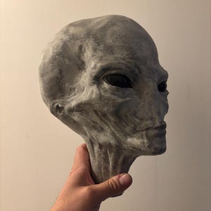 May include: A gray alien head sculpture with large black eyes and a detailed face. The sculpture is made of a smooth, gray material and is held in a person's hand.