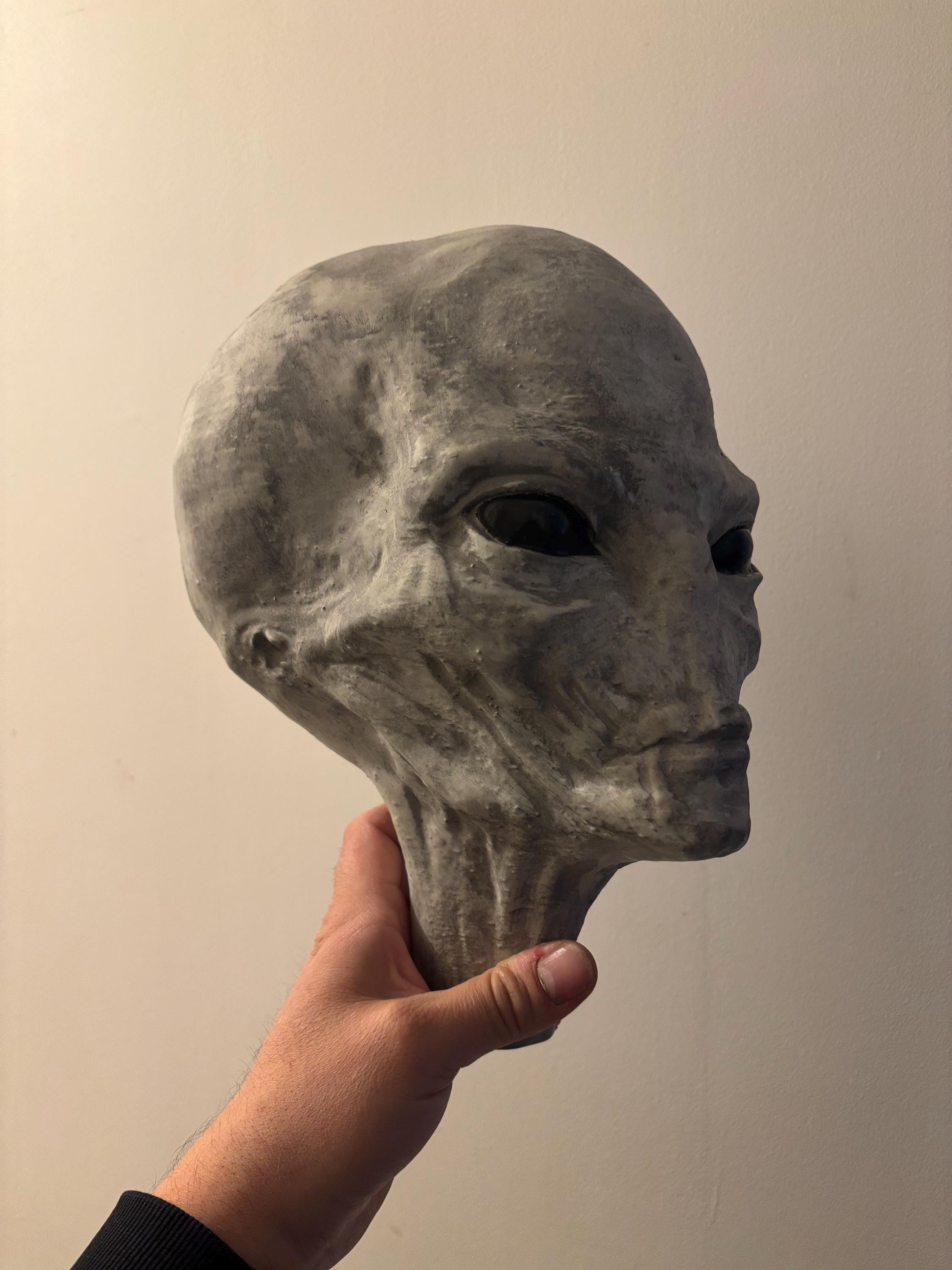 Alien Head Trophy / Oddities / Cabinet of Curiosities / Area 51