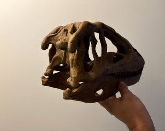 40cmのカルカロドントサウルス恐竜頭骨レプリカ!! - Etsy 日本