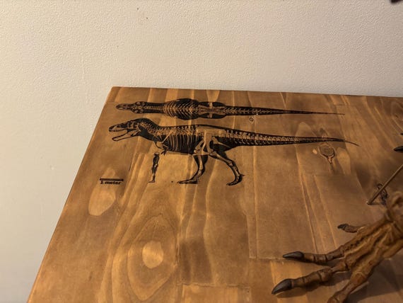 世界に一つ!!　ティラノサウルス・レックス　1/10 木彫頭骨模型16.5cm 世界に一つ!! ティラノサウルス・レックス 1/10 木彫頭骨模型16.5cm