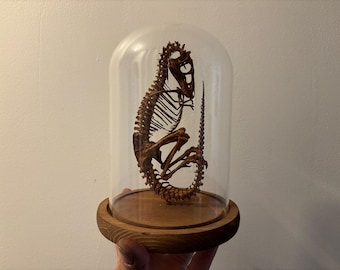 Tyrannosaurus Rex fetus skeleton replica under globe