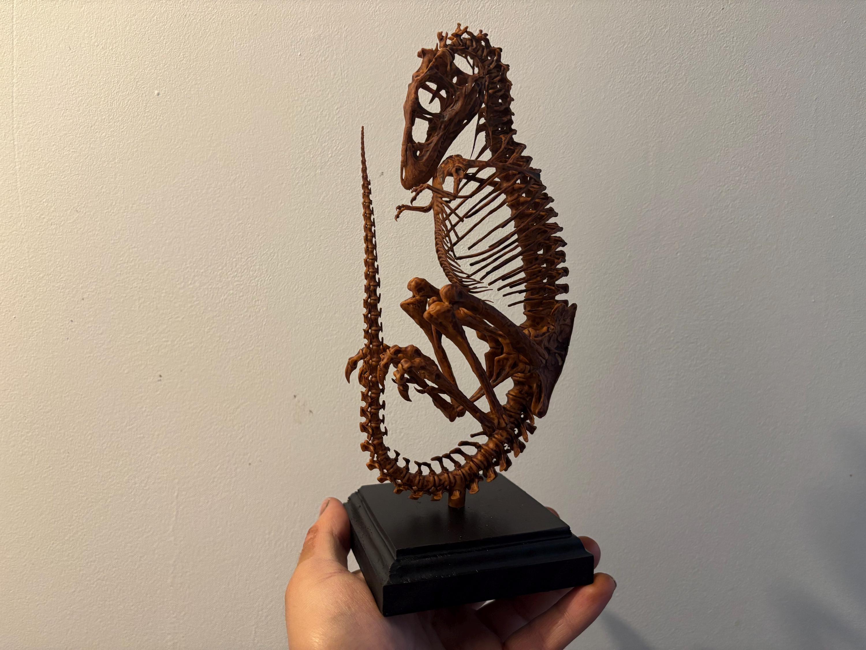 Spinosaurus skull - Etsy 日本