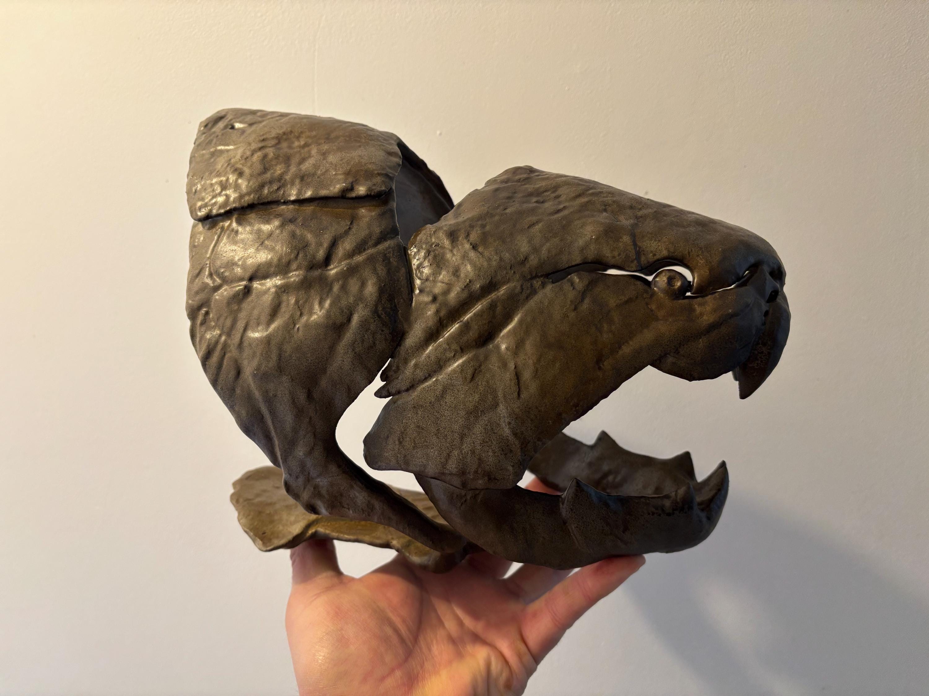 ダンクルオステウスの魚の頭の化石/レプリカ、博物館品質。 - Etsy 日本