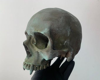Oddities / Cabinet of curiosities / old bronze effect vampire skull