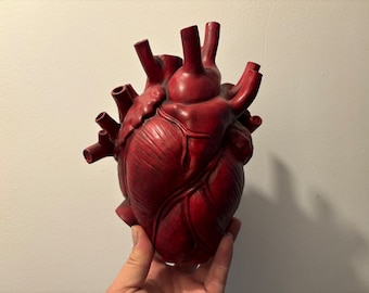 Oddities Cabinet of Curiosities Blood Red Human Anatomical Heart Vase