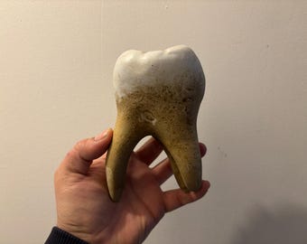 15cm Giant Tooth Replica