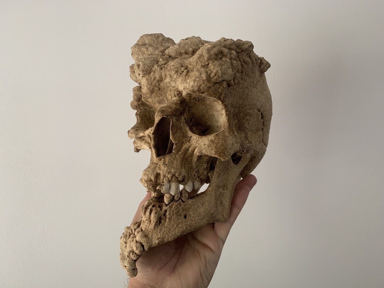 レプリカクレーンエレファントマン ジョセフ・メリック - Etsy 日本