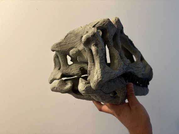 アロサウルスの恐竜の頭蓋骨 ビッグアルレプリカ 恐竜の化石頭蓋骨