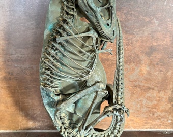 Baby Tyrannosaurus rex skeleton 40 cm bronze effect rotating base!