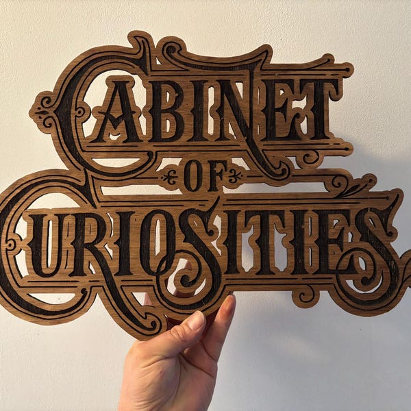 Scudo in legno inciso, gabinetto delle curiosità, 50 cm
