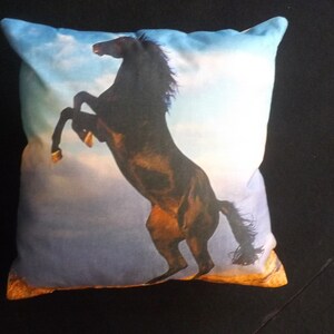 coussin de dispersion de cheval noir