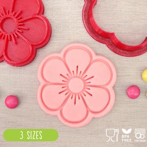 6 Petal Flower Cookie Cutter & Fondant Stamp Set