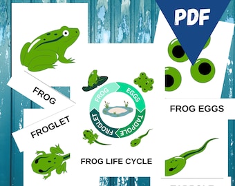 Cartões Montessori sobre o ciclo de vida do sapo: imprimíveis educacionais (PDF)