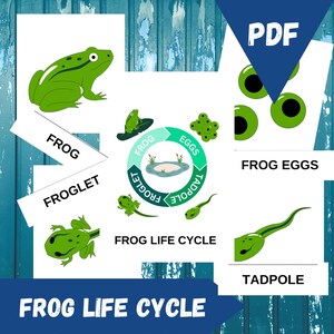 Buy frog cycle online hotsell