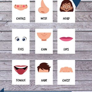 BODYPARTS TARJETAS FLASH • 54 tarjetas Montessori • Tarjetas Flash Nomenclatura FlashCards Editable PDF Printable Cards preescolar