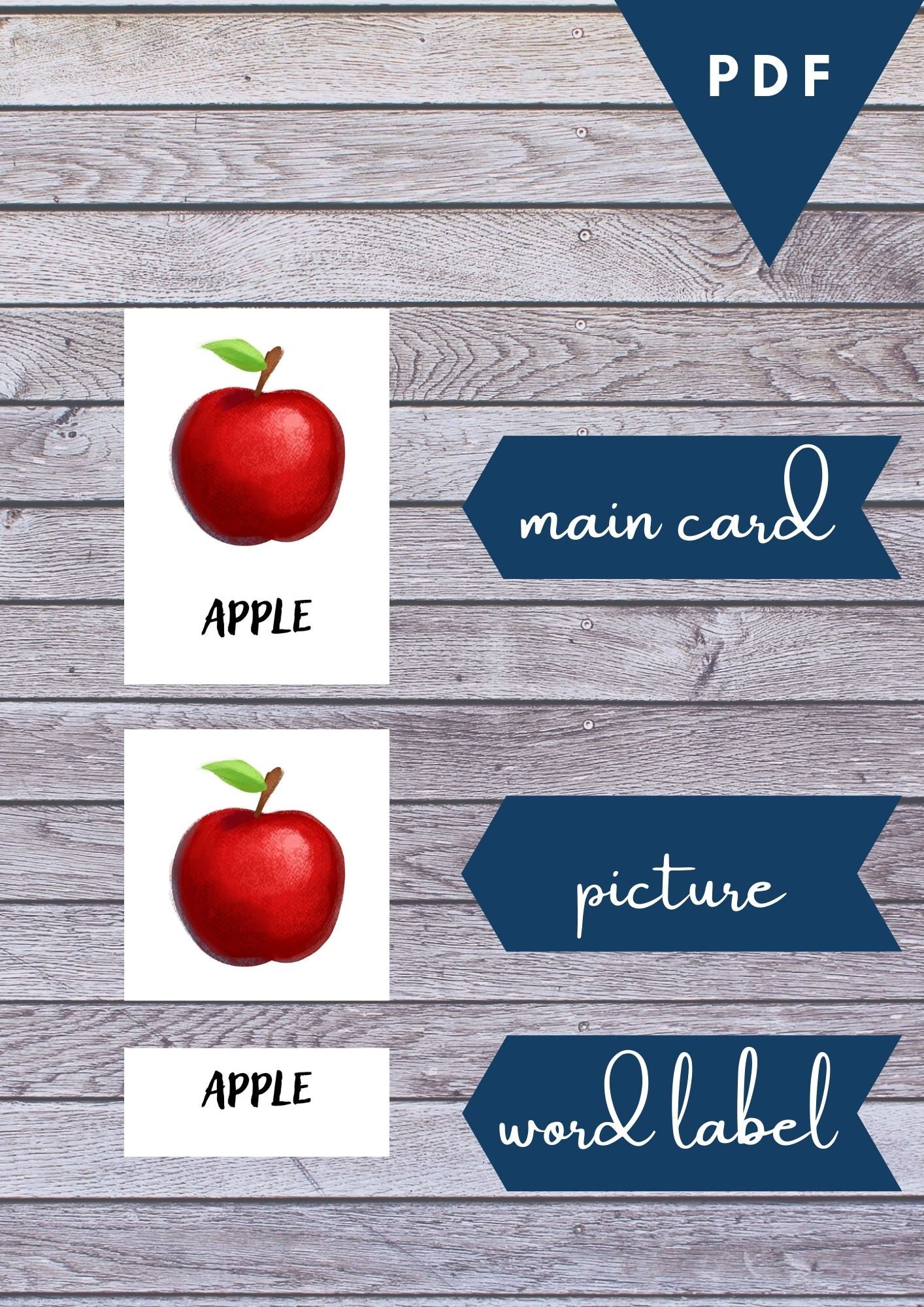FRUITS (watercolor) • 40 Editable Montessori Cards • Flash Cards ...