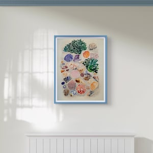 Könnte beinhalten: Ein gerahmtes Kunstwerk mit einer Sammlung farbenfroher Muscheln und Korallen. Das Kunstwerk ist vor einem sandigen Hintergrund platziert und in einem hellblauen Rahmen eingefasst. Die Muscheln haben verschiedene Formen, Größen und Farben, darunter Rosa, Orange, Blau und Braun.