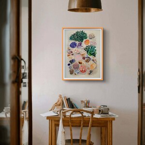 Könnte beinhalten: Ein gerahmtes Kunstwerk mit einer Sammlung farbenfroher Muscheln und Korallen. Das Kunstwerk hat einen hellbeigen Hintergrund und ist in einem orangefarbenen Rahmen eingefasst. Die Muscheln sind in verschiedenen Farben, darunter Blau, Rosa und Orange.