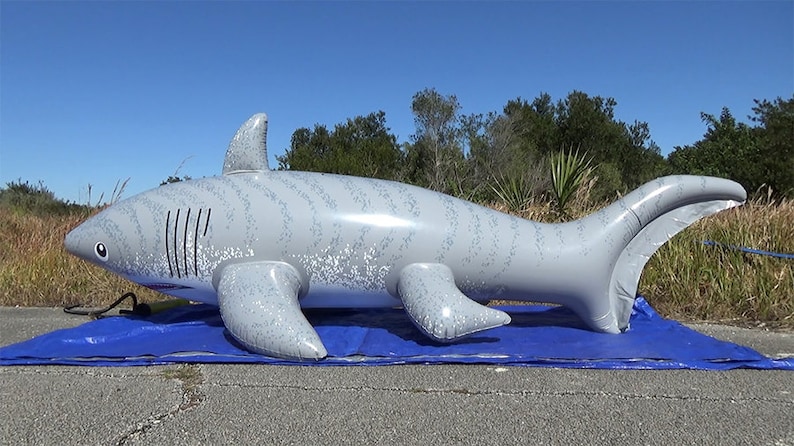 Huge aufblasbare shark shiny 10 feet/3.2m long Pooltoy big Inflatable zdjęcie 5