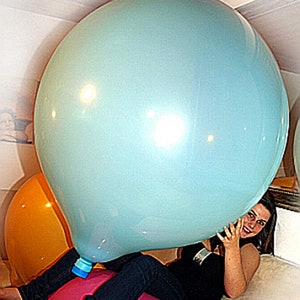 1x jumbo Big Cattex 44-48 inch *Mix color* looner big latex balloon
