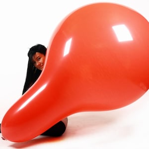 1x Big Cattex **LONGNECK** 32-40 inch *mix colors* looner big latex balloon