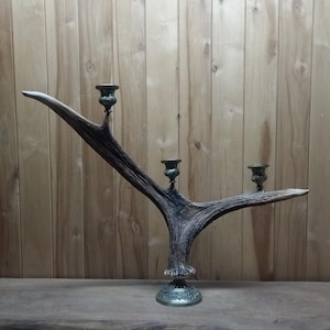 Moose Antler Candle Holder