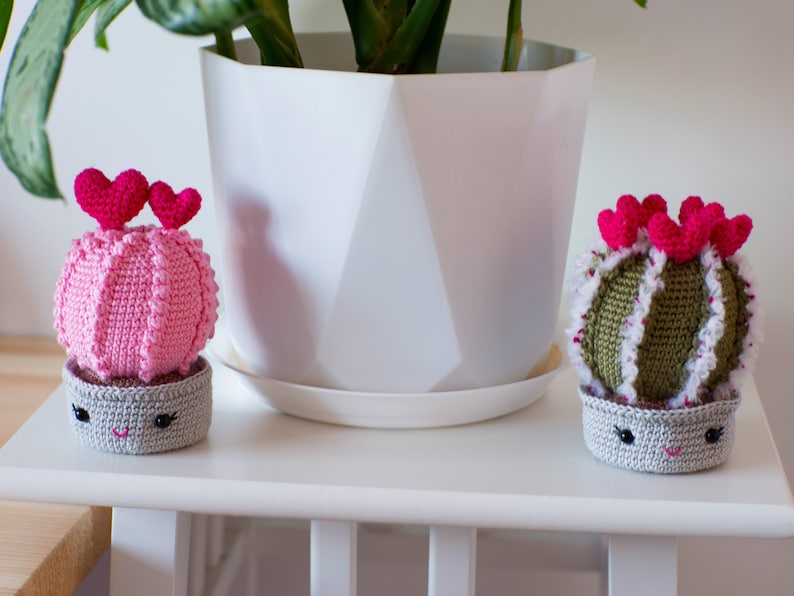 Valentines crochet pattern Heart cactus image 8