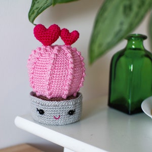 Valentines crochet pattern Heart cactus image 7