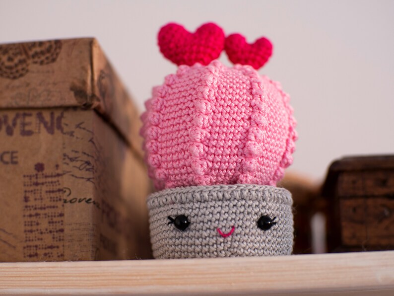 Valentines crochet pattern Heart cactus image 6