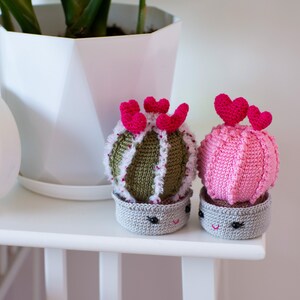 Valentines crochet pattern Heart cactus image 9