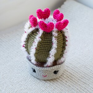 Valentines crochet pattern Heart cactus image 4