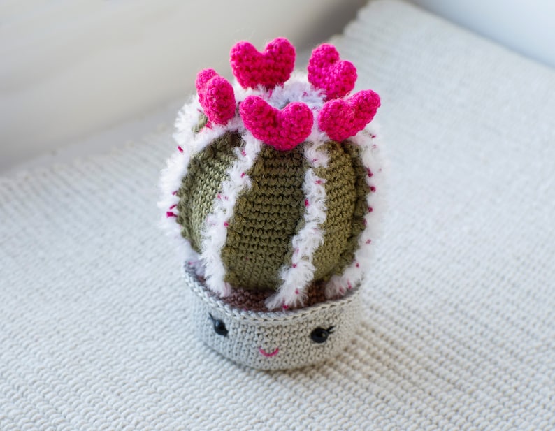 Valentines crochet pattern Heart cactus image 4