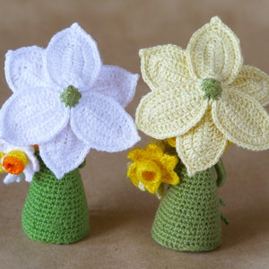 May include: Two crocheted daffodils, one white and one yellow, with green crocheted pots. The daffodils have a 3D effect and are made with a textured stitch.