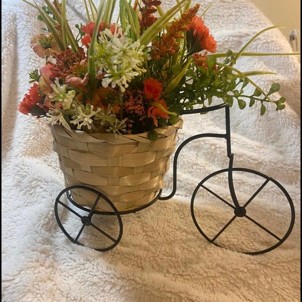 Table top bicycle , bicycle, watering can, Birthday gift, Thank you gift, Mother’s Day gift