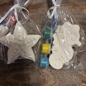 Seashore painting kit, party favors