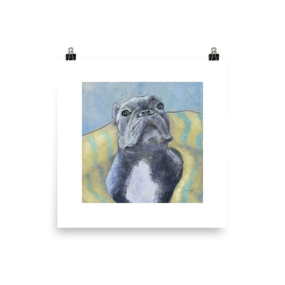 French Bulldog in a Blanket Art Print