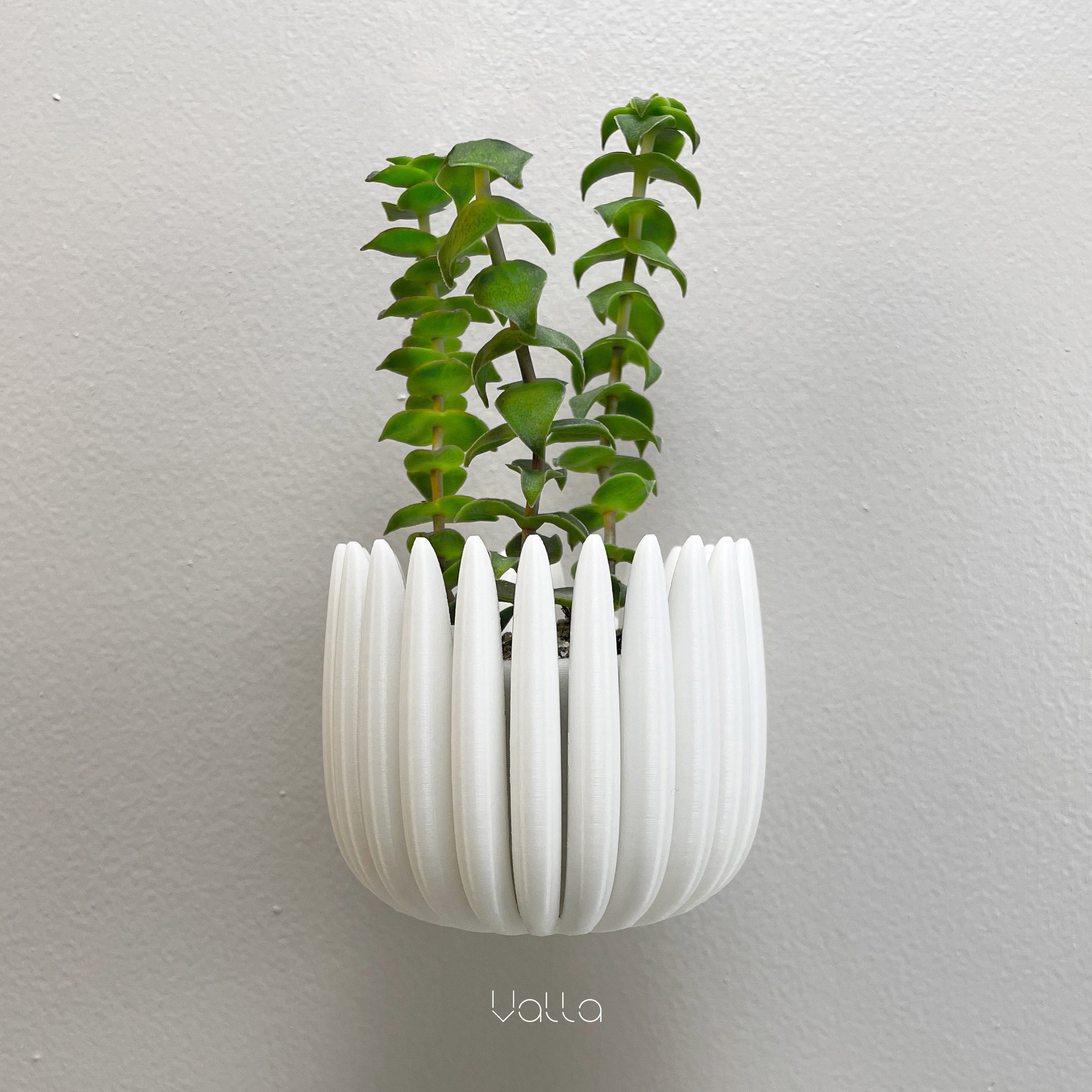 Wall Planter Green Wall - Etsy - Luxurious Green Wall Planters
